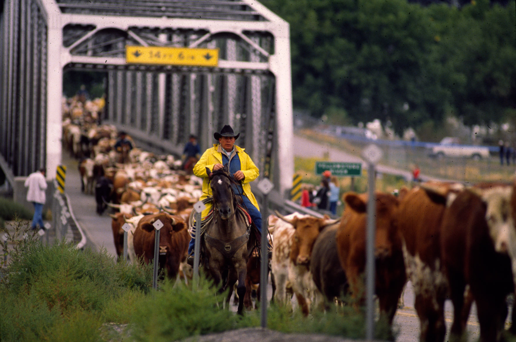Great Montana Centennial Cattle Drive